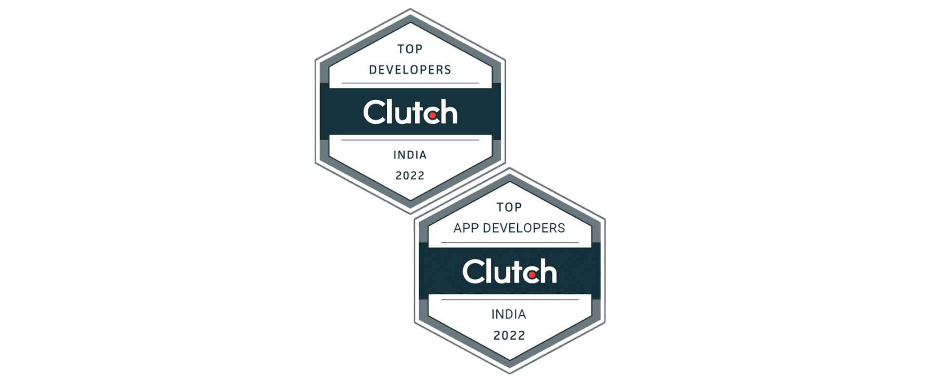 India's Top Web & App Development Company